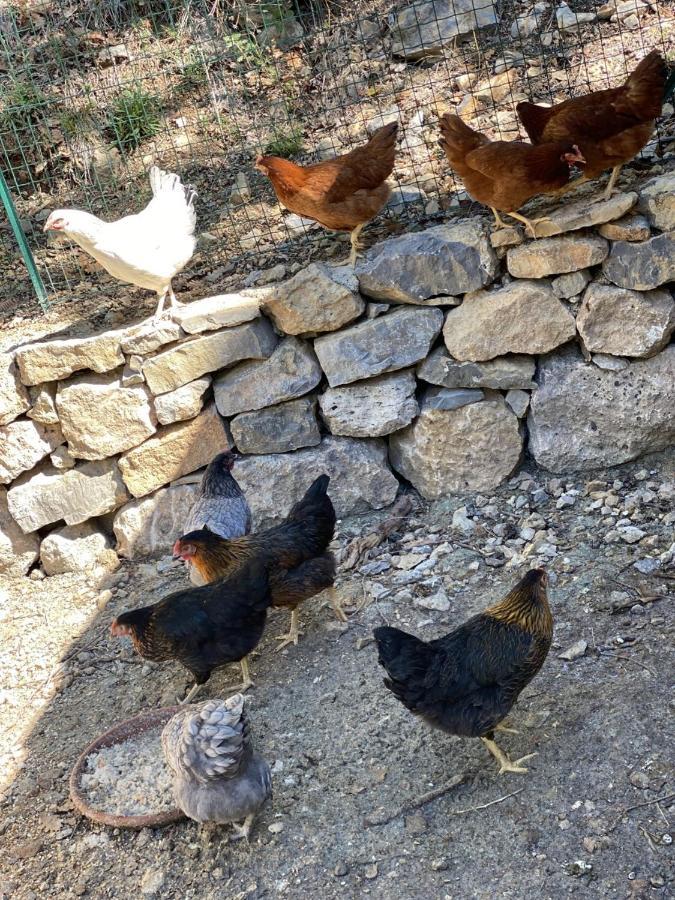 La Bastide Du Beausset-Vieux Bed & Breakfast Le Beausset Dış mekan fotoğraf